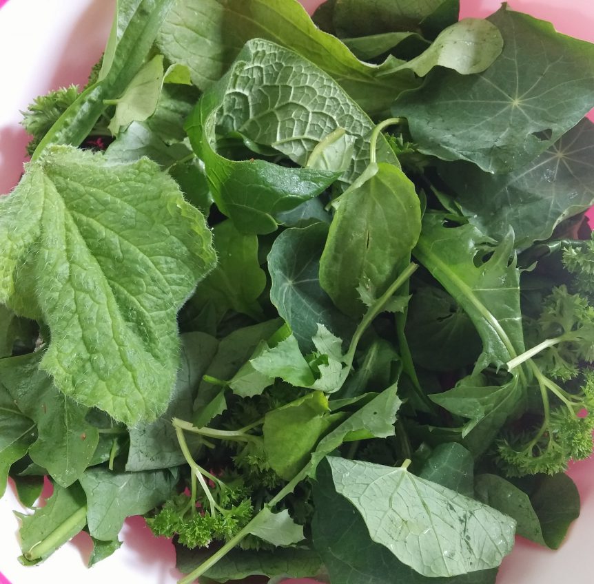 Wild Pesto – Equilibrium Kinesiology & Nutrition