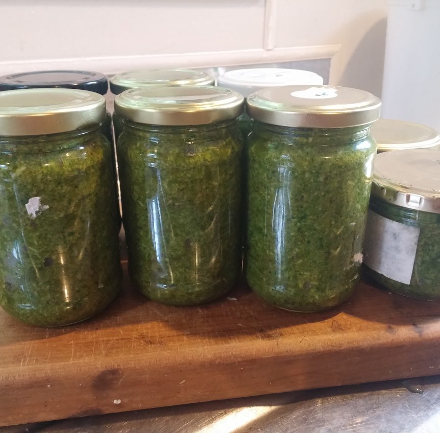 Basil Pesto – Equilibrium Kinesiology &amp; Nutrition